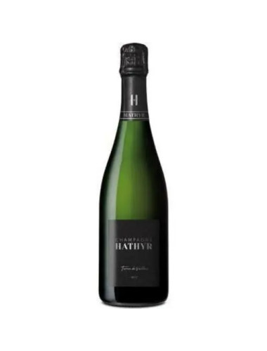 Champagne Hathyr - Brut 'Terre de Vallees' - 0