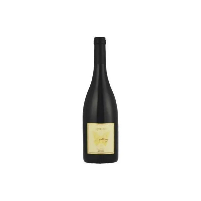 Bindi Wines - Dhillon Col Mountain Vineyard Shiraz - 2018