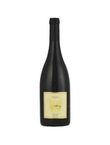 Bindi Wines - Dhillon Col Mountain Vineyard Shiraz - 2018