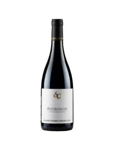 Domaine Sylvain Cathiard - Bourgogne Rouge - 2022