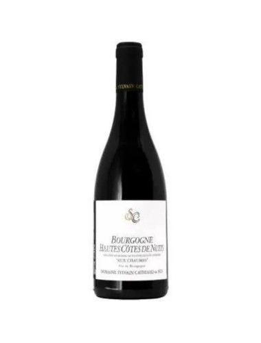 Domaine Sylvain Cathiard - Hautes-Cotes de Nuits Rouge 'Aux Chaumes' - 2022