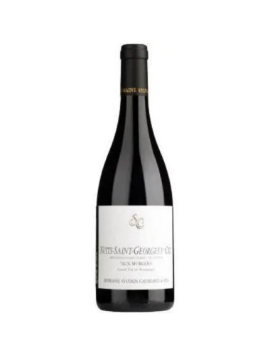 Domaine Sylvain Cathiard - Nuits-Saint-Georges 1er Cru 'Aux Murgers' - 2022
