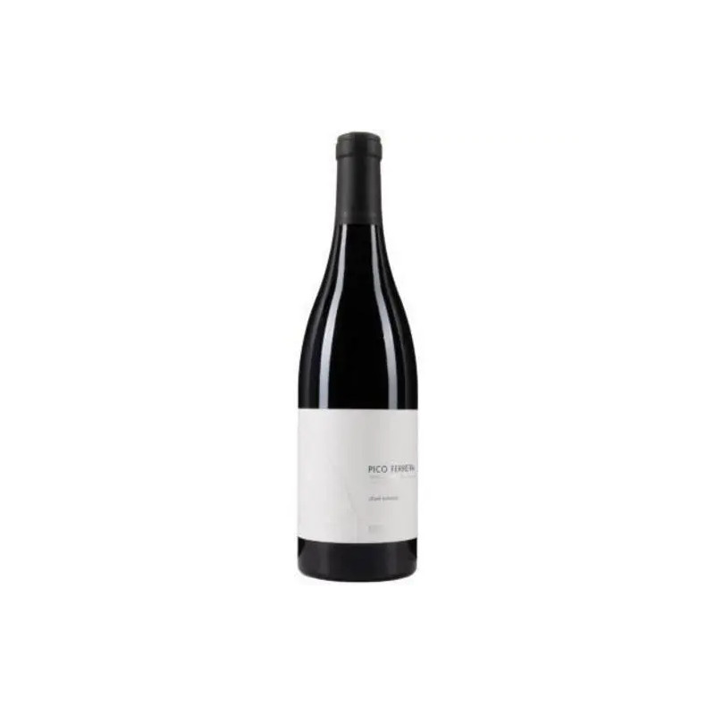 Cesar Marquez - Bierzo 'Pico Ferreira' Mencia - 2022