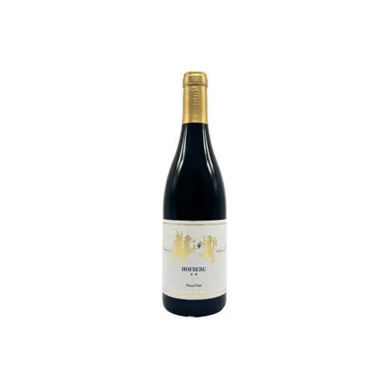 Gunther Steinmetz - Pinot Noir Dhroner Hofberg - 2019
