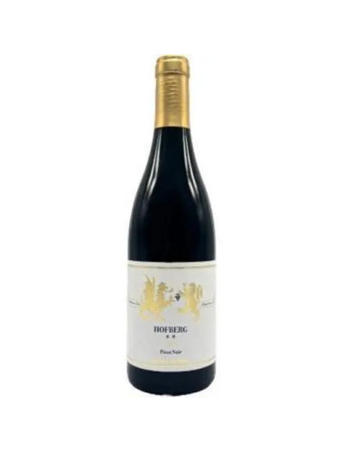 Gunther Steinmetz - Pinot Noir Dhroner Hofberg - 2019