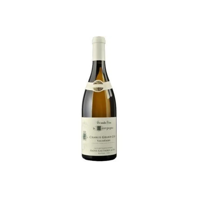 Domaine Alain et Adrien Gautherin - Chablis Grand Cru 'Vaudesirs' - 2022
