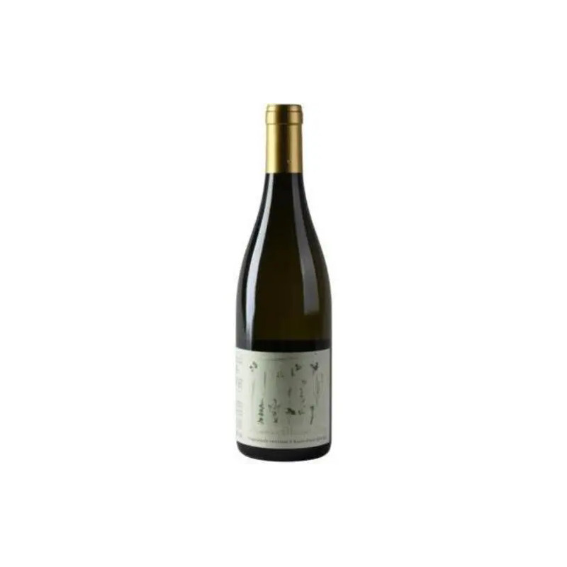 Domaine Vincent Ledy - Bourgogne Aligote 'Les Savigotees' - 2022