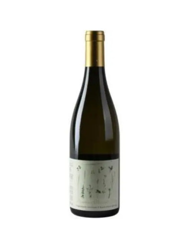 Domaine Vincent Ledy - Bourgogne Aligote 'Les Savigotees' - 2022