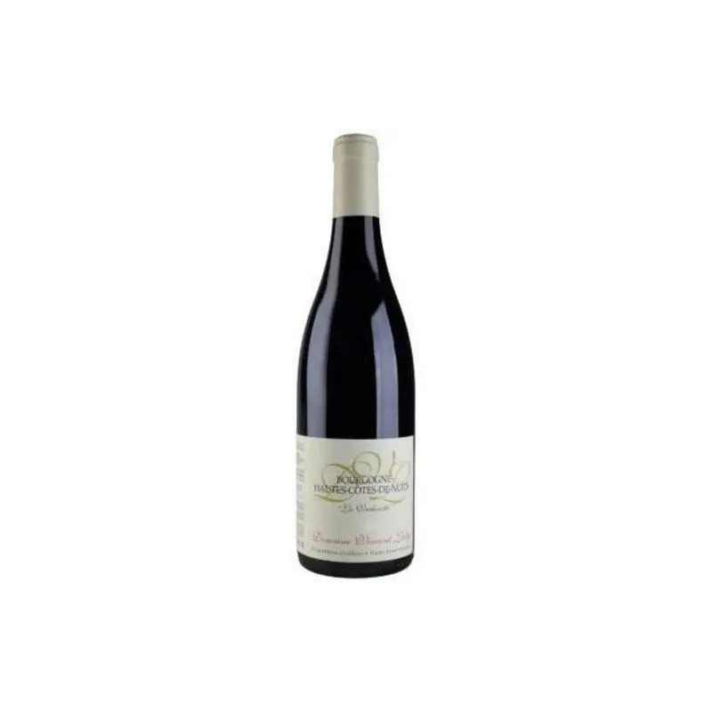 Domaine Vincent Ledy - Bourgogne Hautes-Cotes de Nuits Rouge 'Vacherotte' - 2021