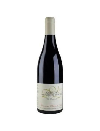 Domaine Vincent Ledy - Bourgogne Hautes-Cotes de Nuits Rouge 'Vacherotte' - 2021