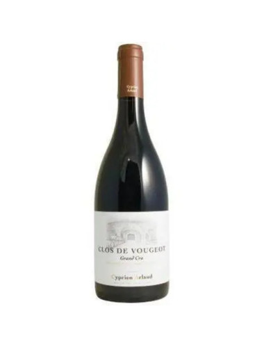 Cyprien Arlaud - Clos Vougeot Grand Cru - 2022