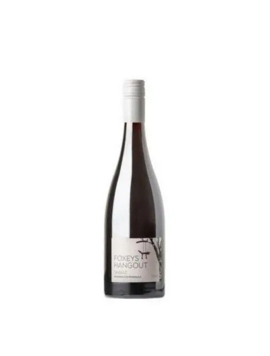 Foxeys Hangout Shiraz 2024