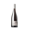 Foxeys Hangout Shiraz 2024