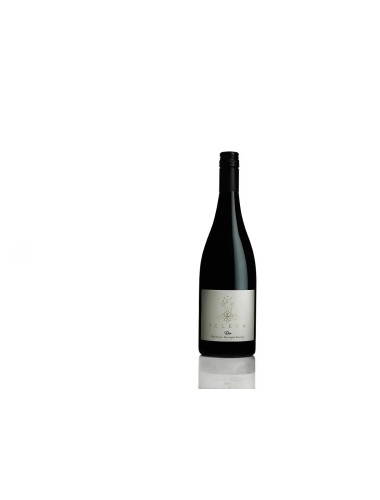 Telera Rae Shiraz 2017