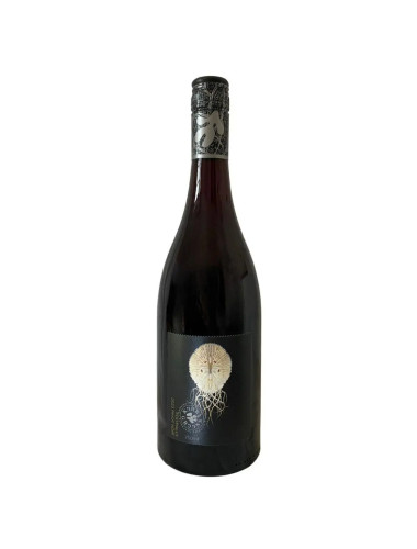 Kerri Greens Foothills Pinot Noir 2023