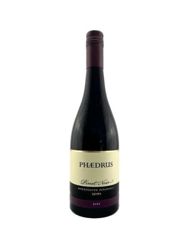 Phaedrus Pinot Noir 2025