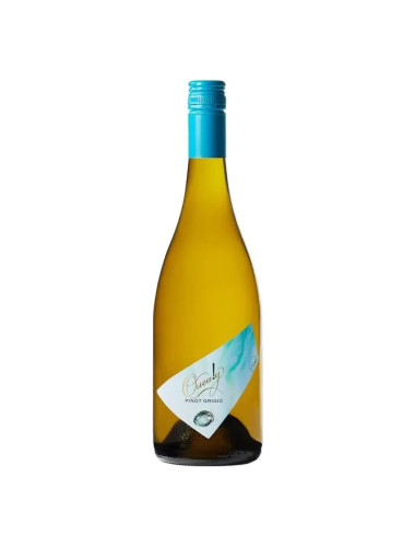 Quealy Pinot Grigio 2024