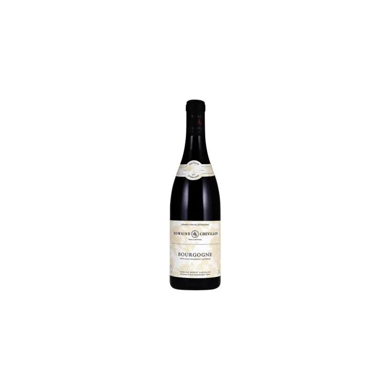 Domaine Robert Chevillon - Bourgogne Rouge - 2019