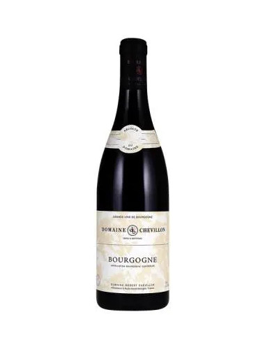 Domaine Robert Chevillon - Bourgogne Rouge - 2019