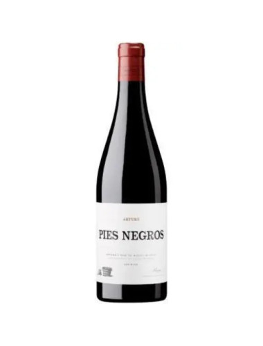 Artuke - Rioja 'Pies Negros' - 2022