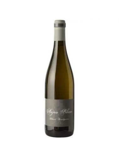 Thibaud Boudignon - Anjou Blanc - 2023