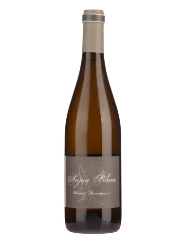 Thibaud Boudignon - Anjou Blanc - 2020