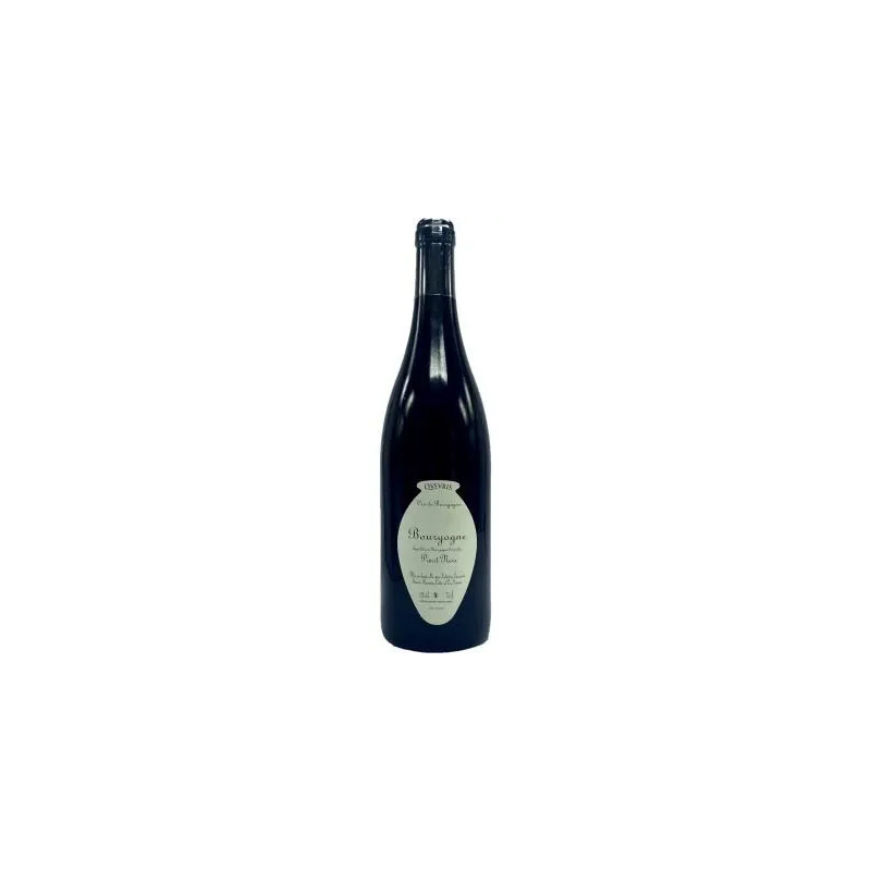 Frederic Cossard - Bourgogne Rouge 'Bedeau' QVEVRIS - 2020