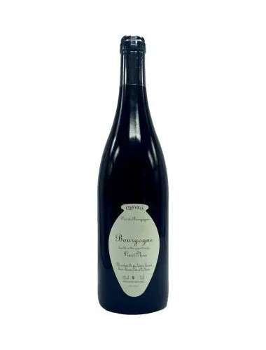 Frederic Cossard - Bourgogne Rouge 'Bedeau' QVEVRIS - 2020