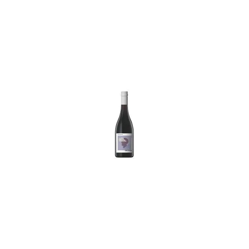 Di Giorgio Montepulciano 750ml Current Vintage