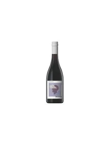 Di Giorgio Montepulciano 750ml Current Vintage