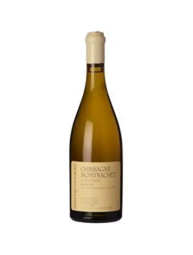 Pierre-Yves Colin-Morey - Chassagne-Montrachet 1er Cru 'Maltroie' - 2022