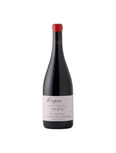Jean Foillard - Morgon 'Cote du Py' - 2023