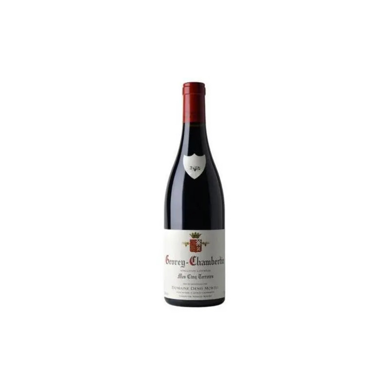 Domaine Denis Mortet - Gevrey-Chambertin 'Mes Cinq Terroirs' - 2022