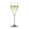 Spiegelau Party Champagne Flute 230ml