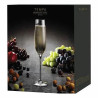 Tempa Quinn Champagne Flutes 4PK