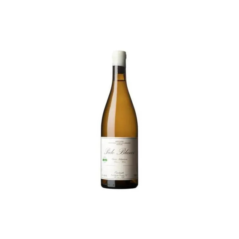 Envinate - Palo Blanco Listan Blanco - 2023