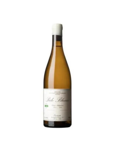 Envinate - Palo Blanco Listan Blanco - 2023