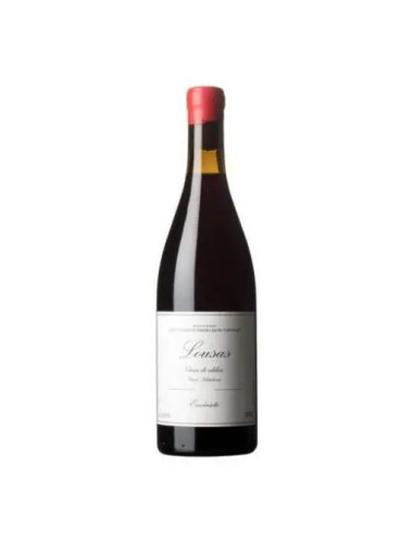 Envinate - Ribeira Sacra 'Lousas Vinas de Aldea' Mencia - 2023