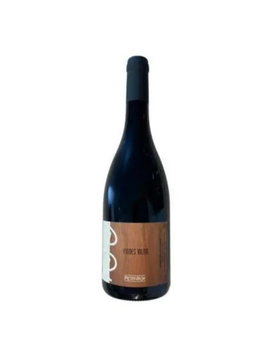 Maison Petit-Roy - Bourgogne Hautes-Cote de Beaune 'Vignes Vilon' - 2022