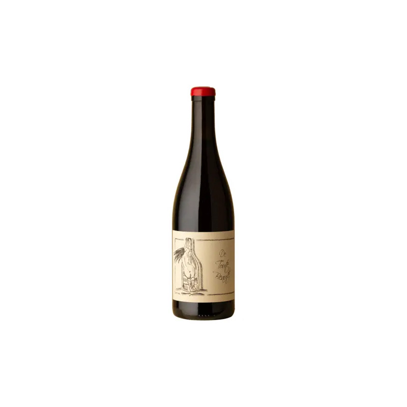 Anne et Jean-Francois Ganevat - Vin de France 'De Toute Beaute' Gamay - 2023