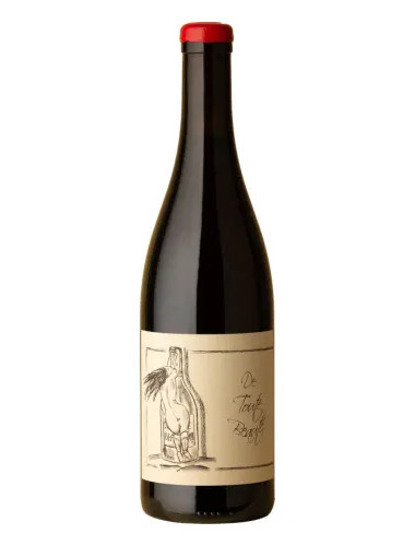 Anne et Jean-Francois Ganevat - Vin de France 'De Toute Beaute' Gamay - 2023