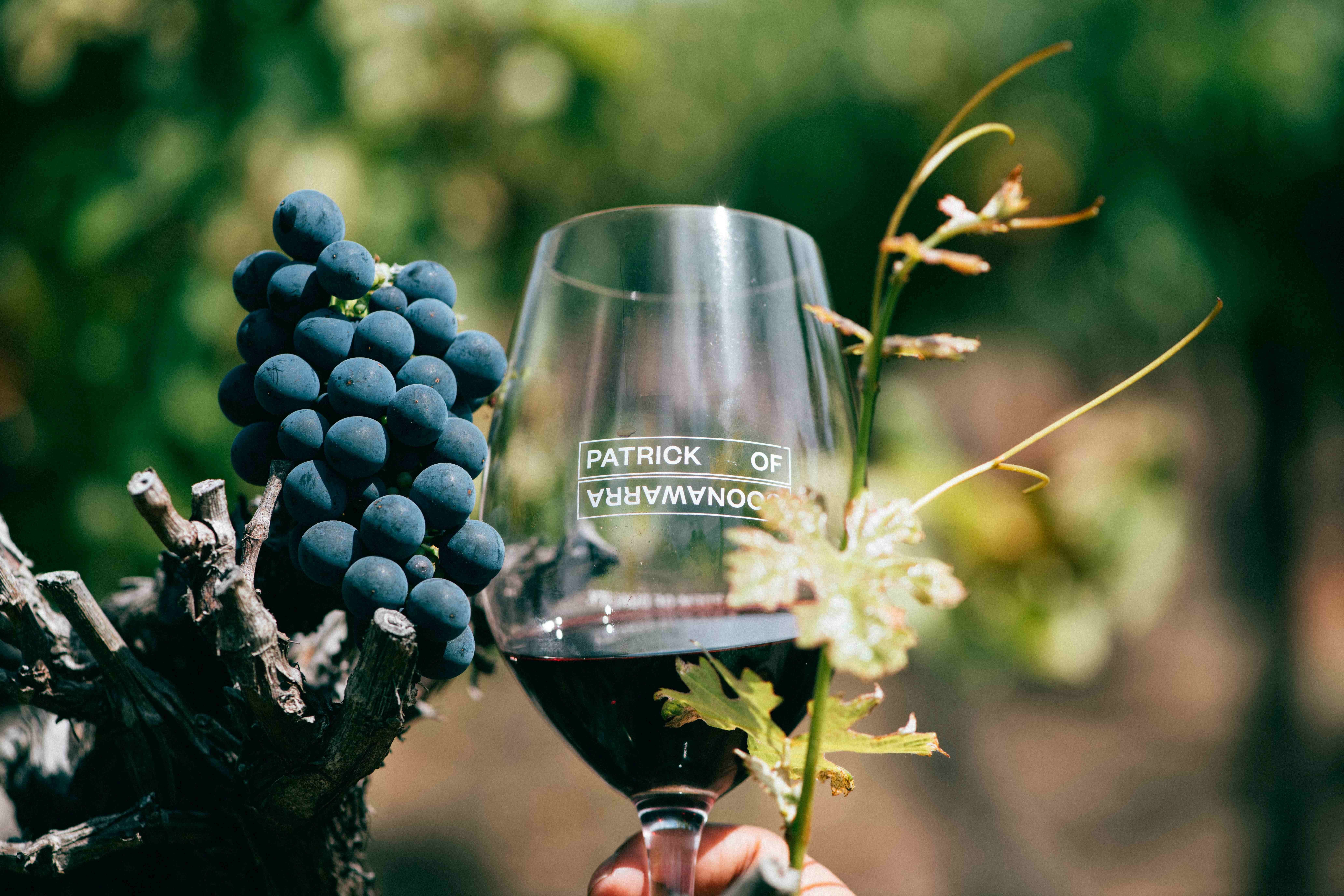 Patrick of Coonawarra