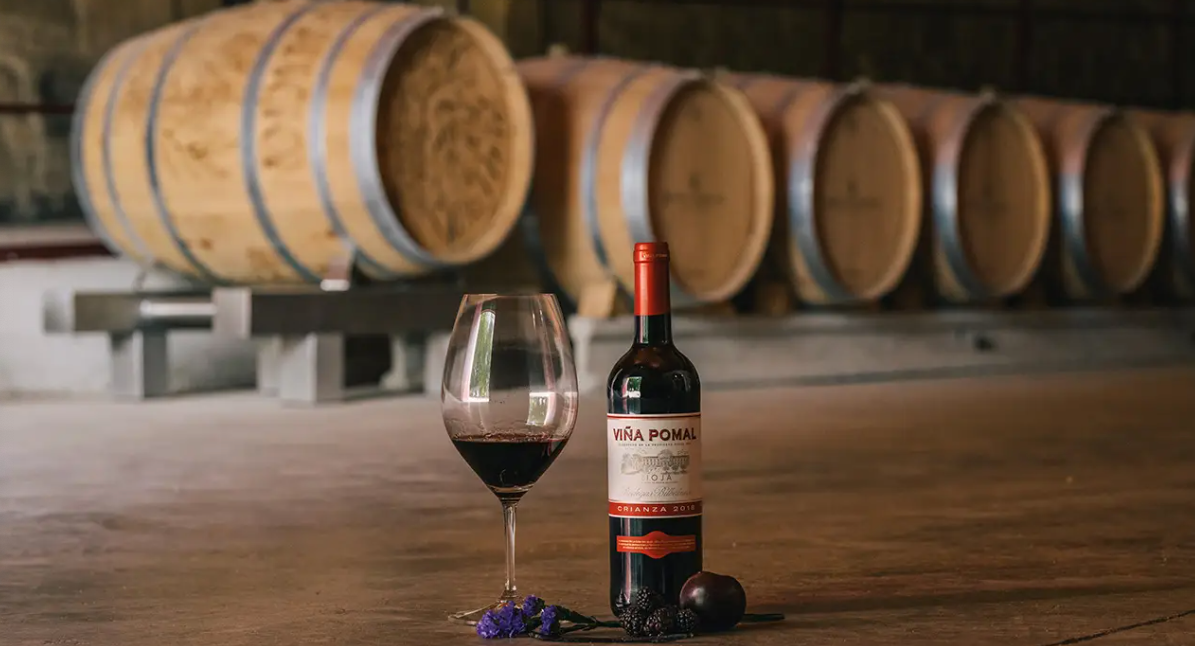 Discover the Best Tempranillos from Rioja to Ribera del Duero