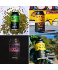 The Boys Brewing - Mix&Match - 16 cans